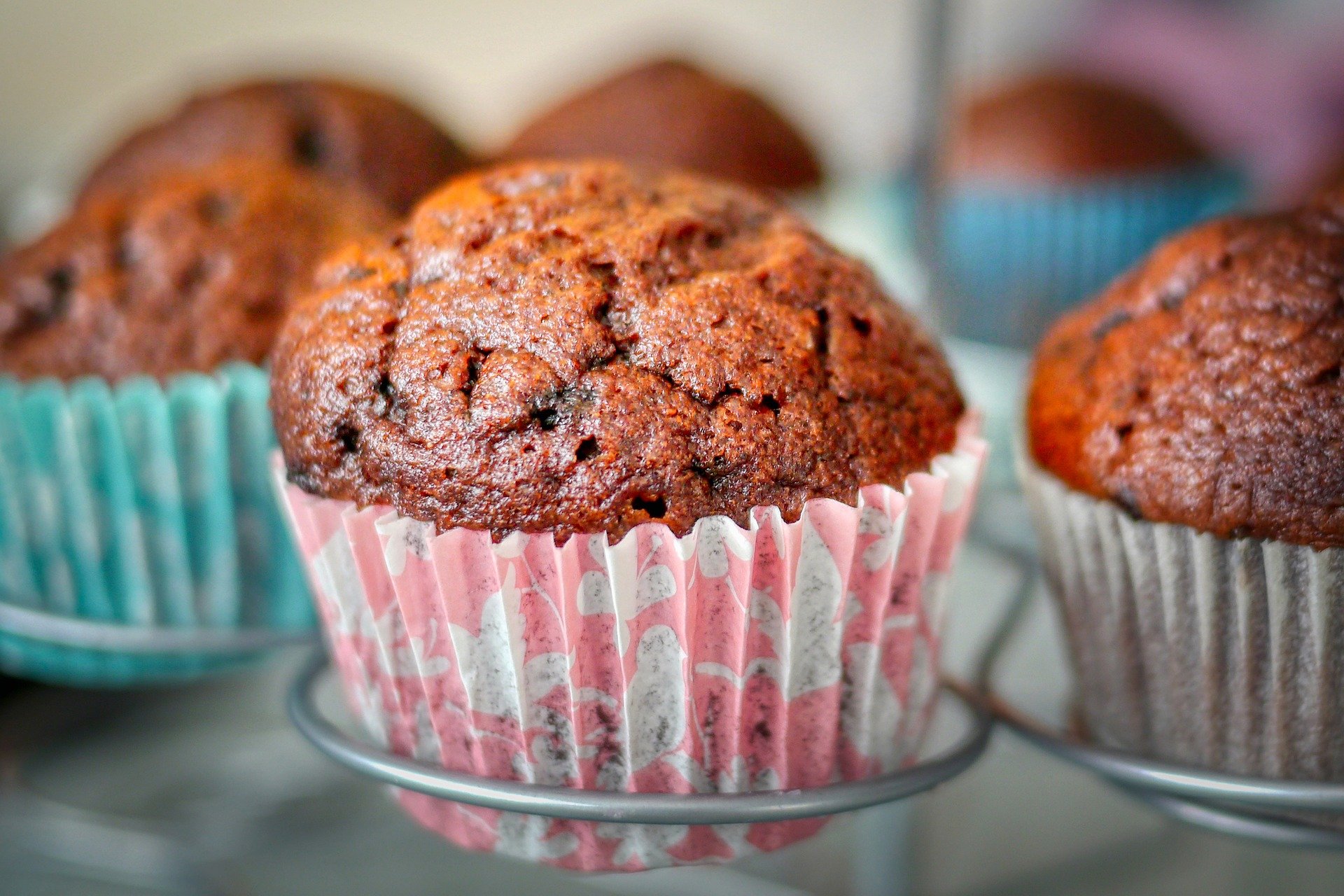 muffins de chocolate y avellanas